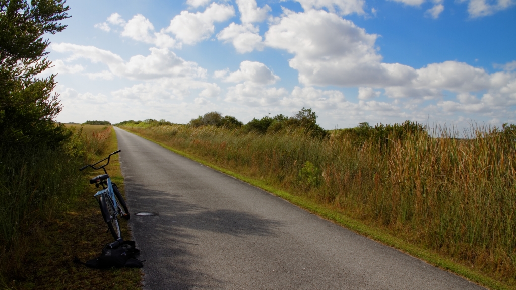 02 - Everglade NP (23).jpg